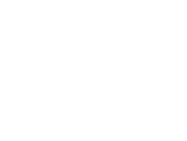 Ventur Pipiol Online Logo